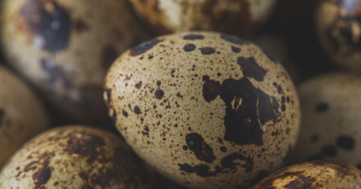 Учёные из Европы и Южной Африки сообщили о нахо...