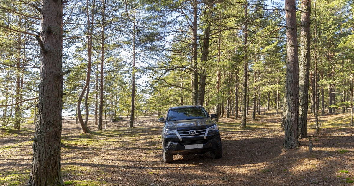 Суд установил, что мужчина похитил семь дорогос...