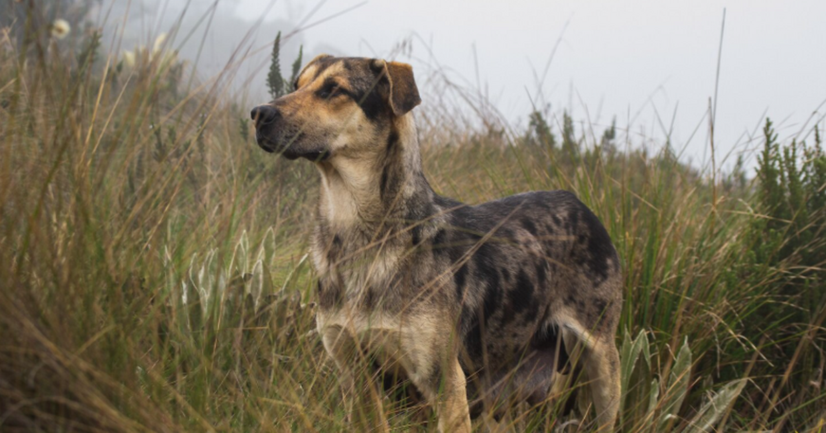 Новое генетическое исследование показало, что и...