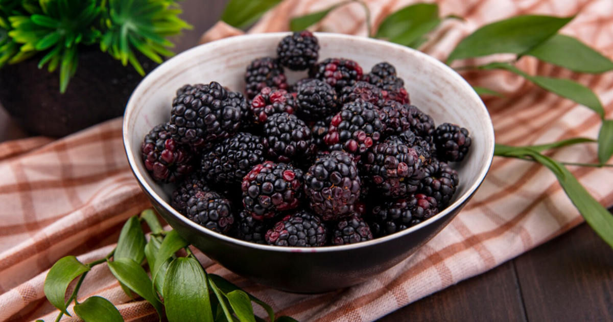 Frontiers: листья шелковицы могут помочь в контроле сахара в крови Исследование Frontiers in Nutrition показало, ч...