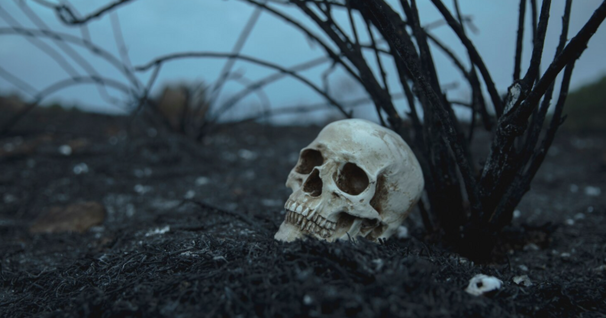 Группа антропологов подробно изучила череп неан...