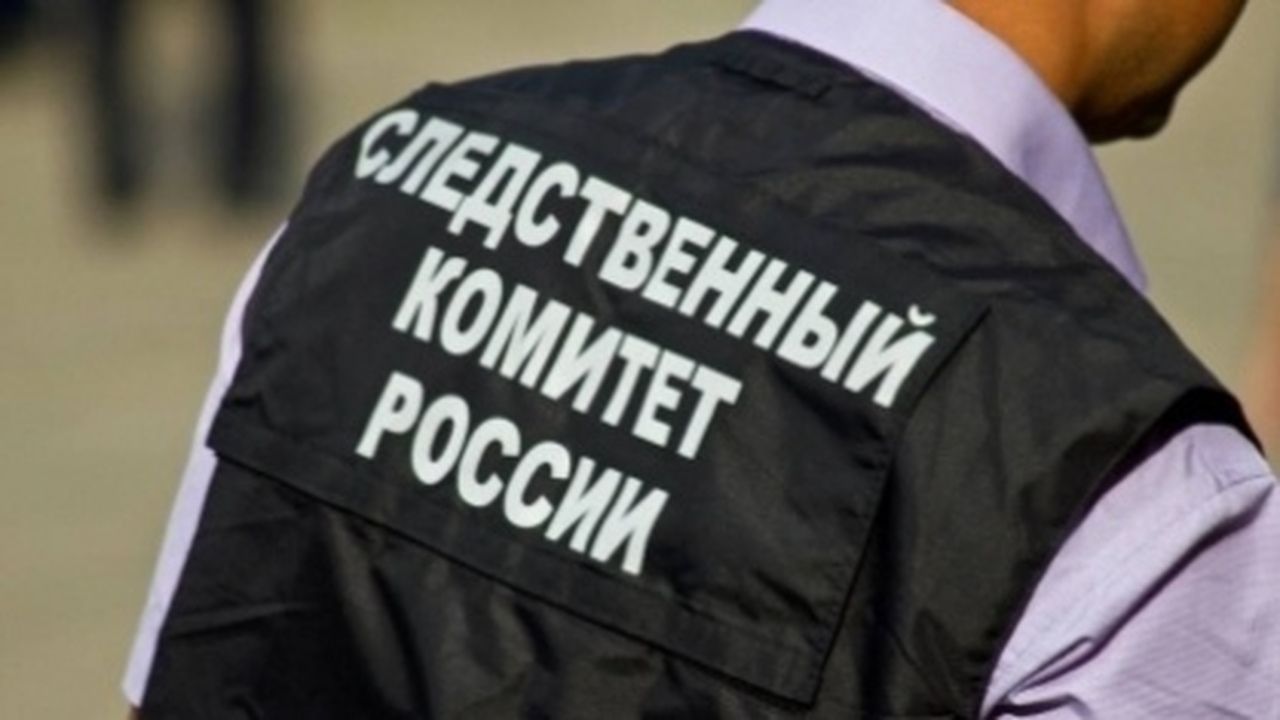 В Тольятти ученики 11 класса из классической ги...