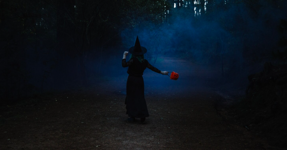 В России 28 января отмечают Павлов день — известный как «День колдунов» 28 января православные чтят святого Павла Фивей...