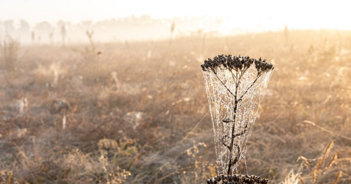 Аномальная зима в России: снегопады, морозы и с...