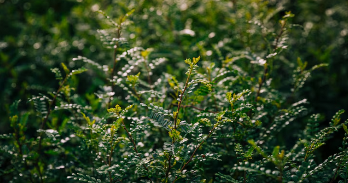 Палеонтологи обнаружили 307-миллионную окаменел...