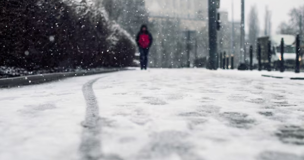 Климат развернется достаточно неожиданно: зима 2025-2026 годов может стать самой холодной за десятилетие Зима 2025/2026 будет суровой: прогноз Вильфанда...