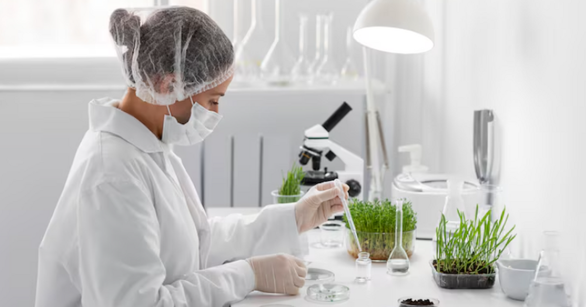 Новая теория сдвигает дату появления предков животных и растений Новая реконструкция ранней истории жизни на Зем...