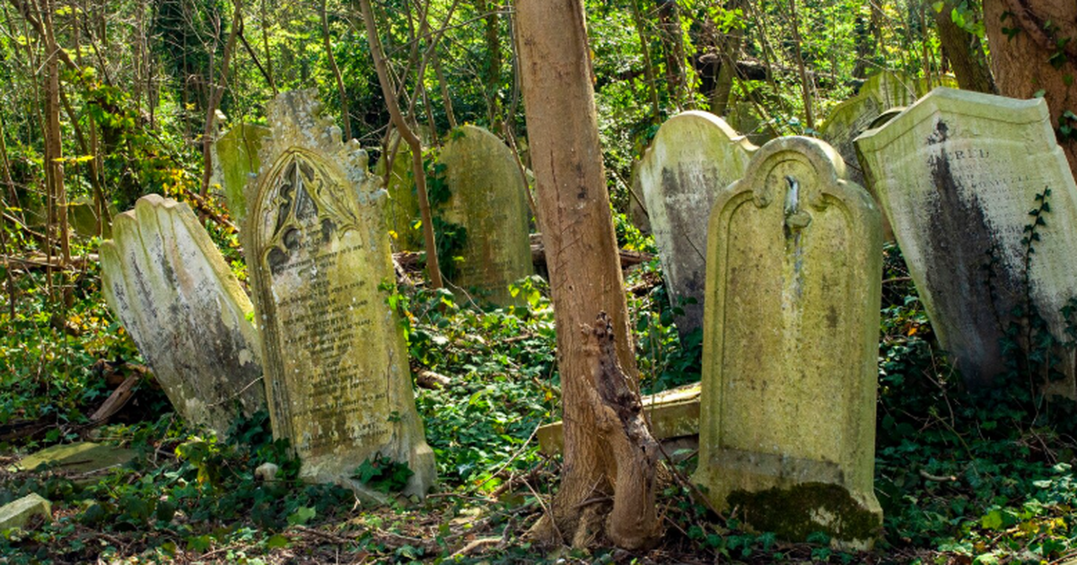 Юстинианова чума: массовое захоронение в Иордании подтвердило масштаб пандемии Массовое захоронение в Джараше подтверждает мас...