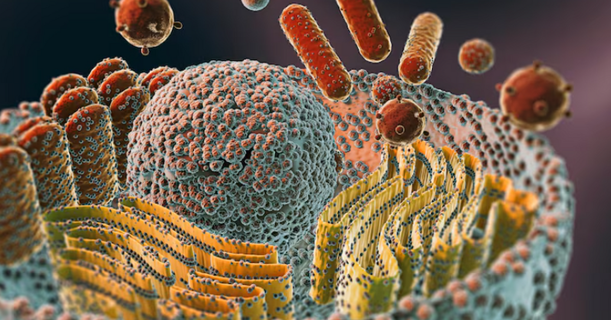 Ученые предложили модель, объясняющую, как микр...