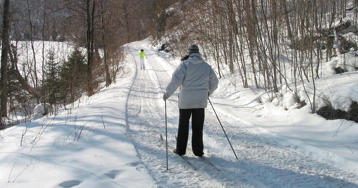 Для этого подходят безопасные и доступные виды ...