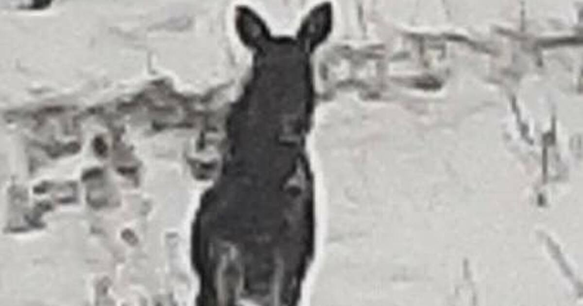 Об этом сообщили в областном Минприроды