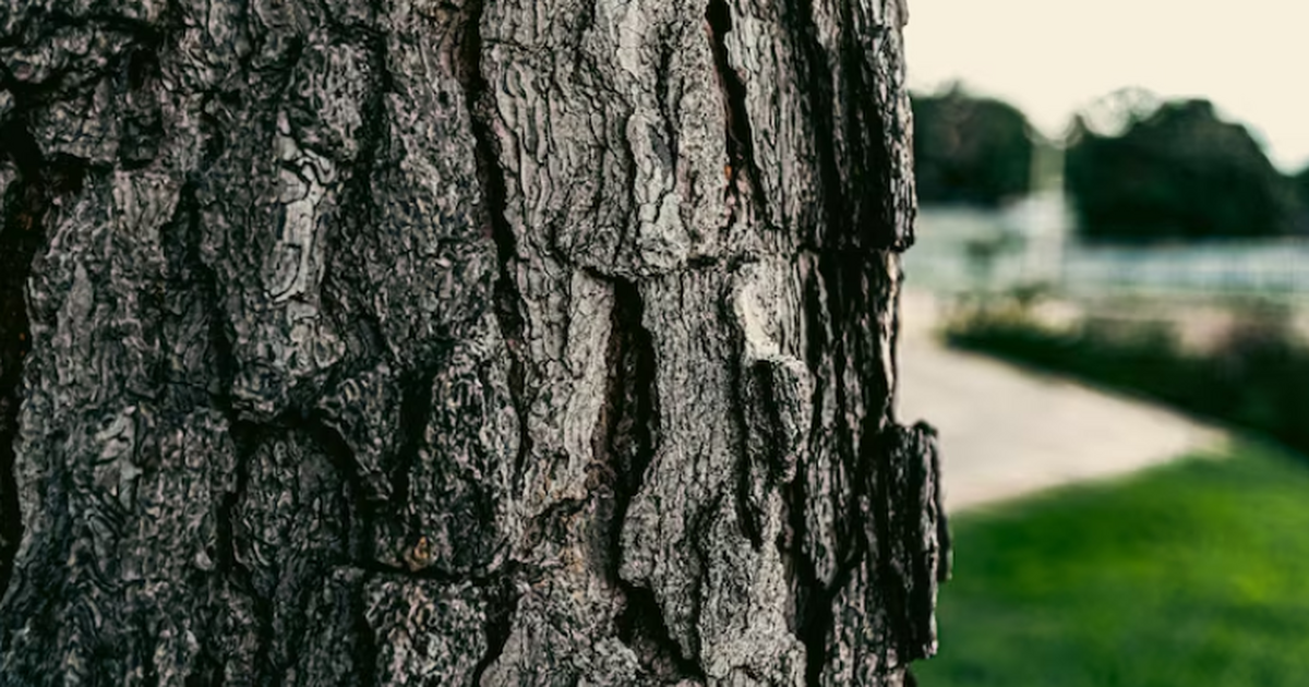 Российская программа позволяет точно оценивать ...