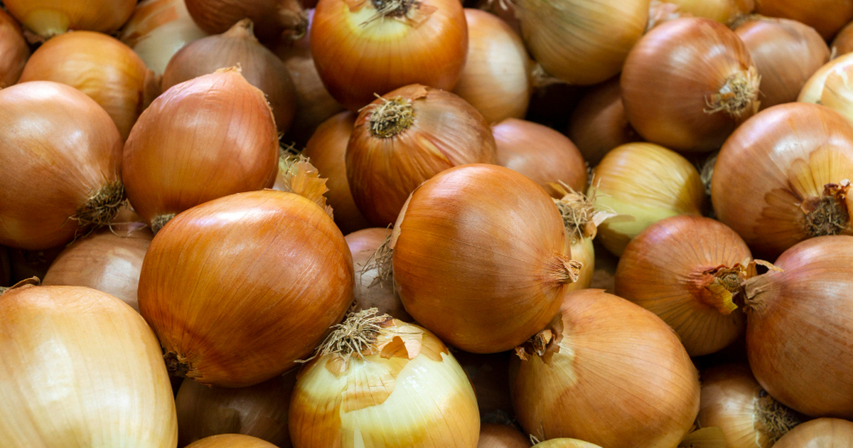 Щепотка в лейке — и лук растёт как на дрожжах В...