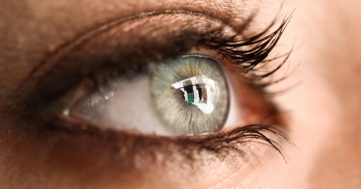 Учёные из Швейцарии использовали мини-сетчатки ...