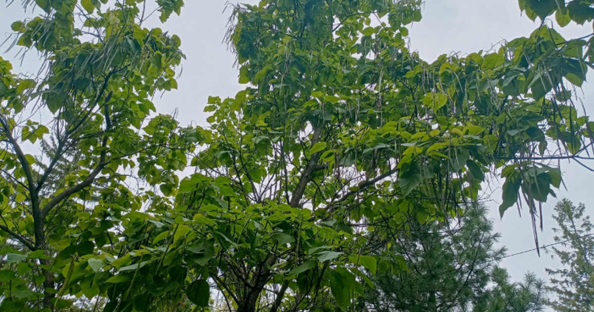 Международное исследование зафиксировало серьез...