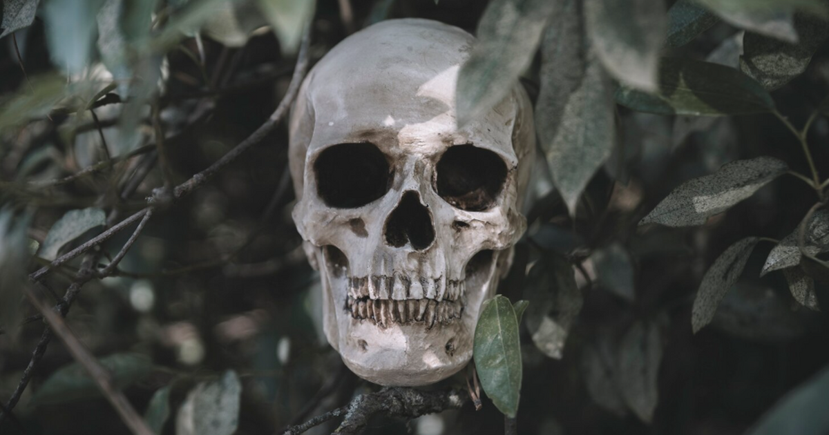 Генетики раскрывают убийство герцога Арпадов по ранениям и ДНК Международная группа под руководством венгерски...