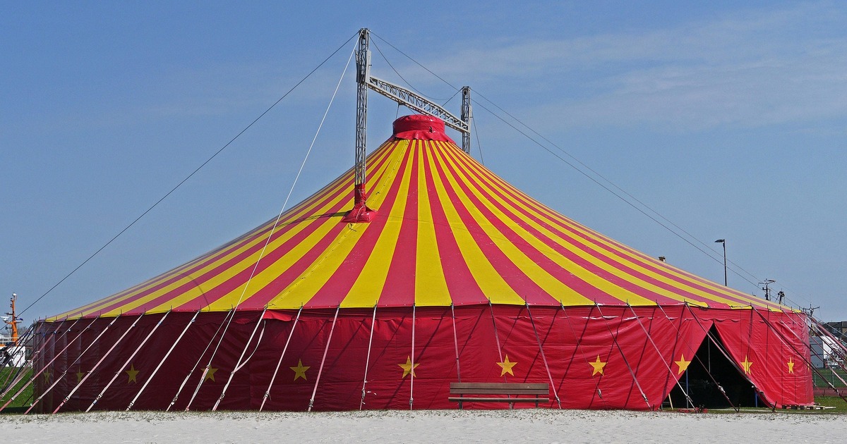 Цирк не уведомил ведомство о своих гастролях