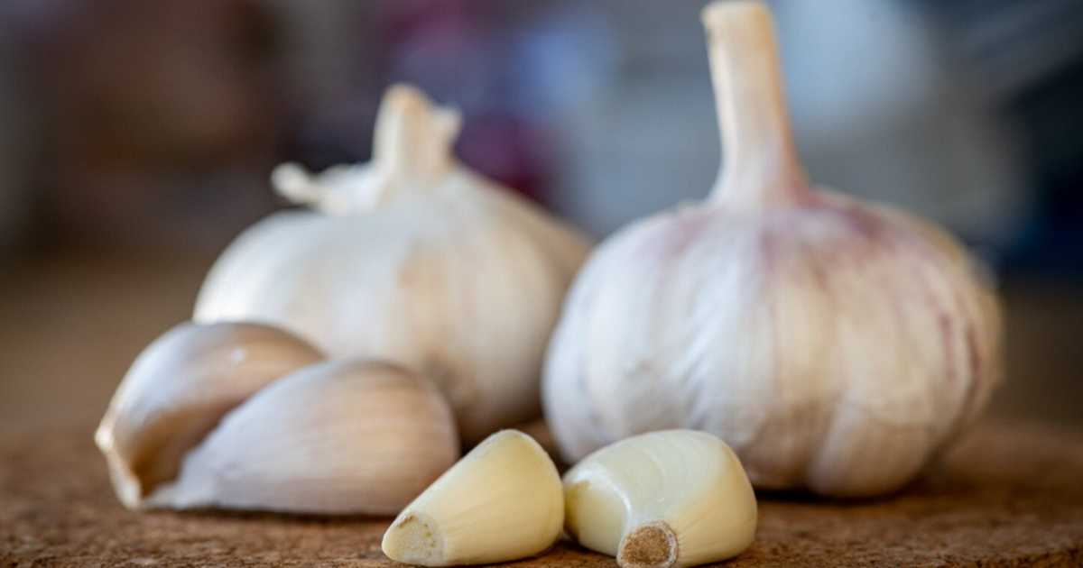Исследование: выдержанный чеснок улучшил память и снизил тревожность Опубликованы данные о влиянии выдержанного чесн...