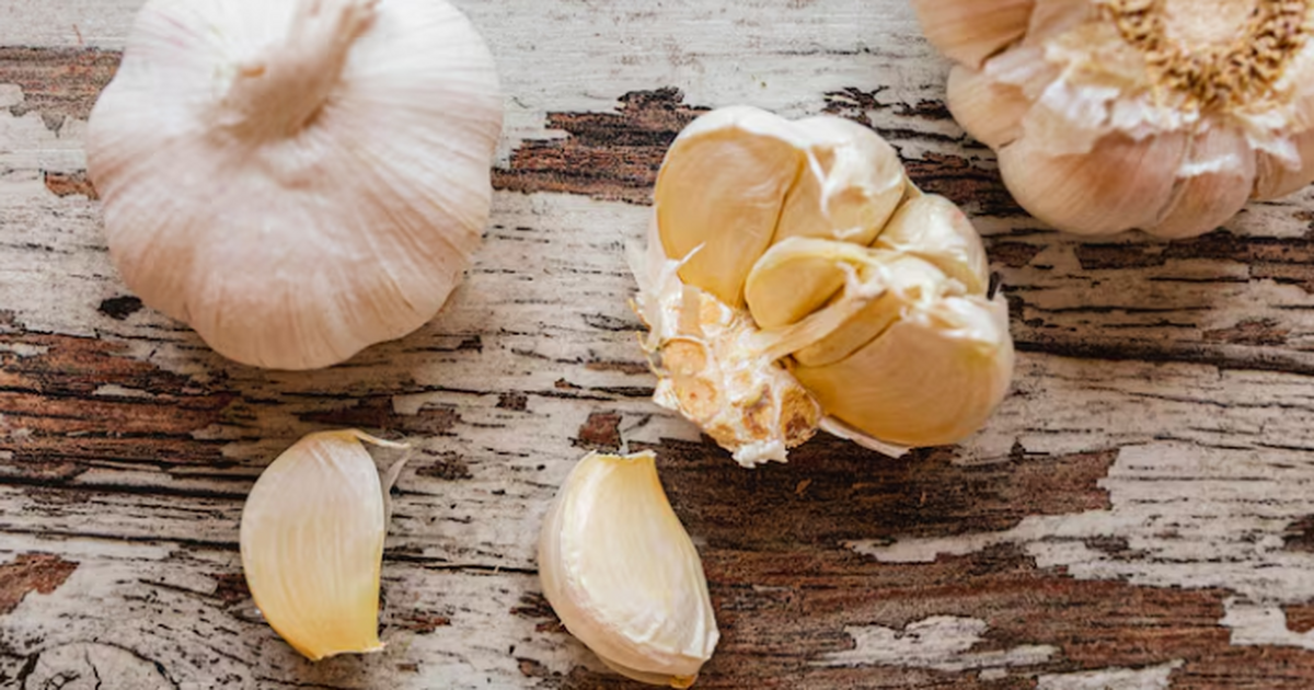 Исследование: экстракт зрелого чеснока улучшил память и снижал тревожность Ученые выяснили, что экстракт зрелого чеснока м...
