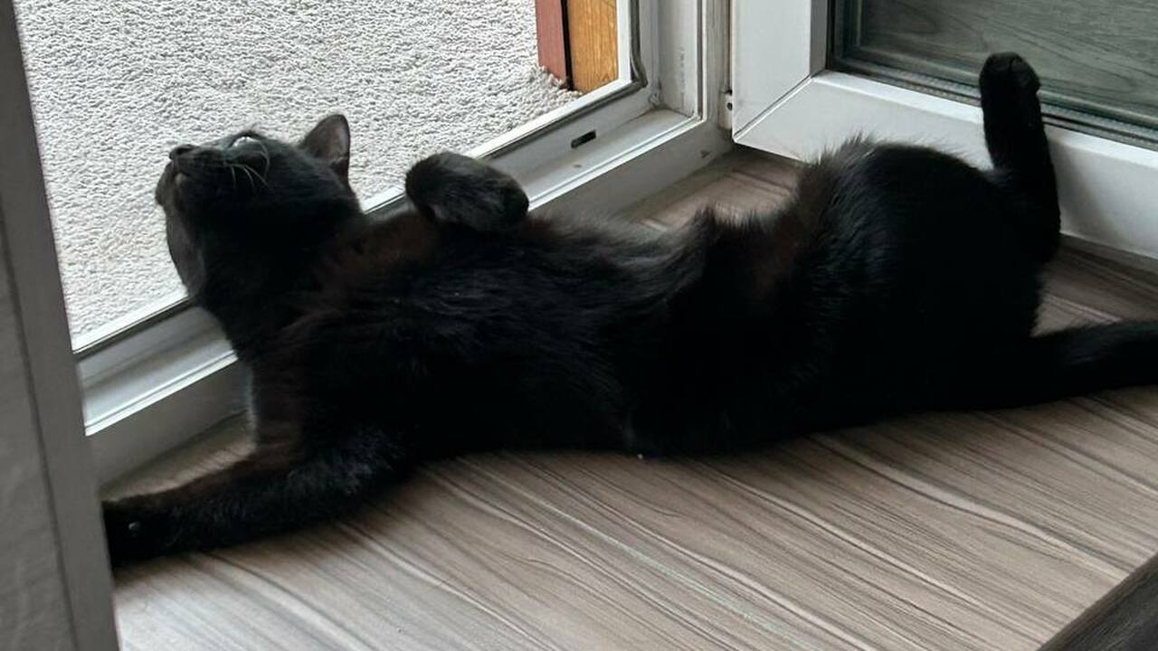 Дома прохладно в +40 даже без кондиционера: этот лайфхак избавит от летней жары Переняв проверенные временем методы у народов, ...