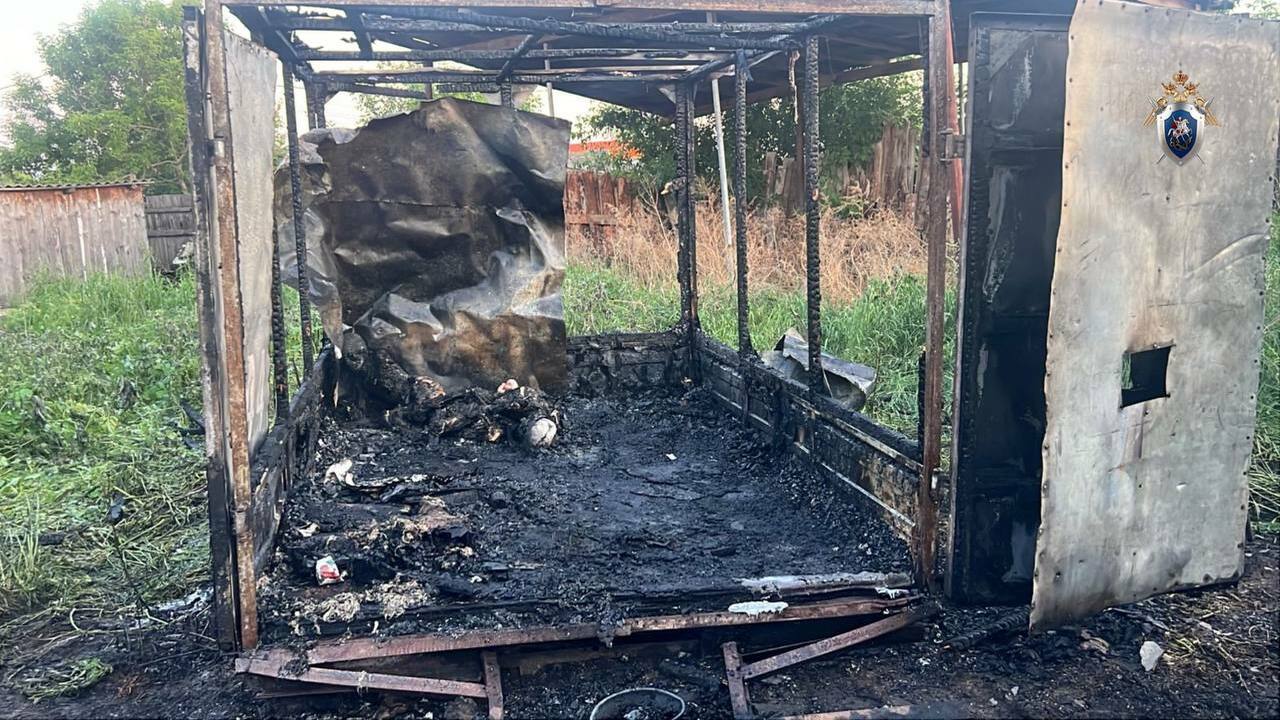 В Самарской области возбудили уголовное дело о пожаре, в котором погибли 2 детей Пожар произошел вечером 29 мая в сарае в Углово...