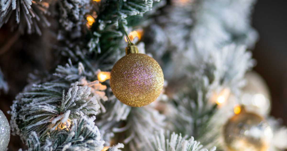 Чем украшали новогодние елки до появления игрушек и шаров: сейчас мы бы так не смогли Привычная для нас новогодняя ёлка — результат д...