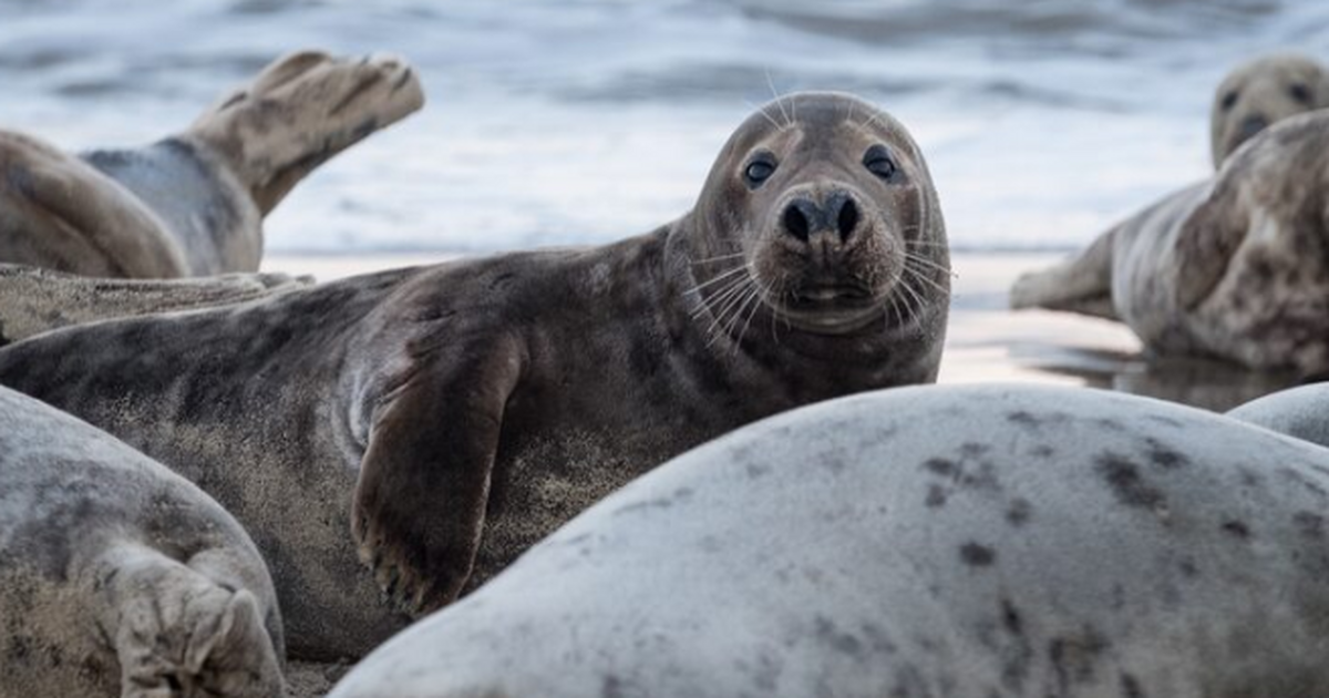 Биолог Алина Стом рассказала, почему попытки ту...