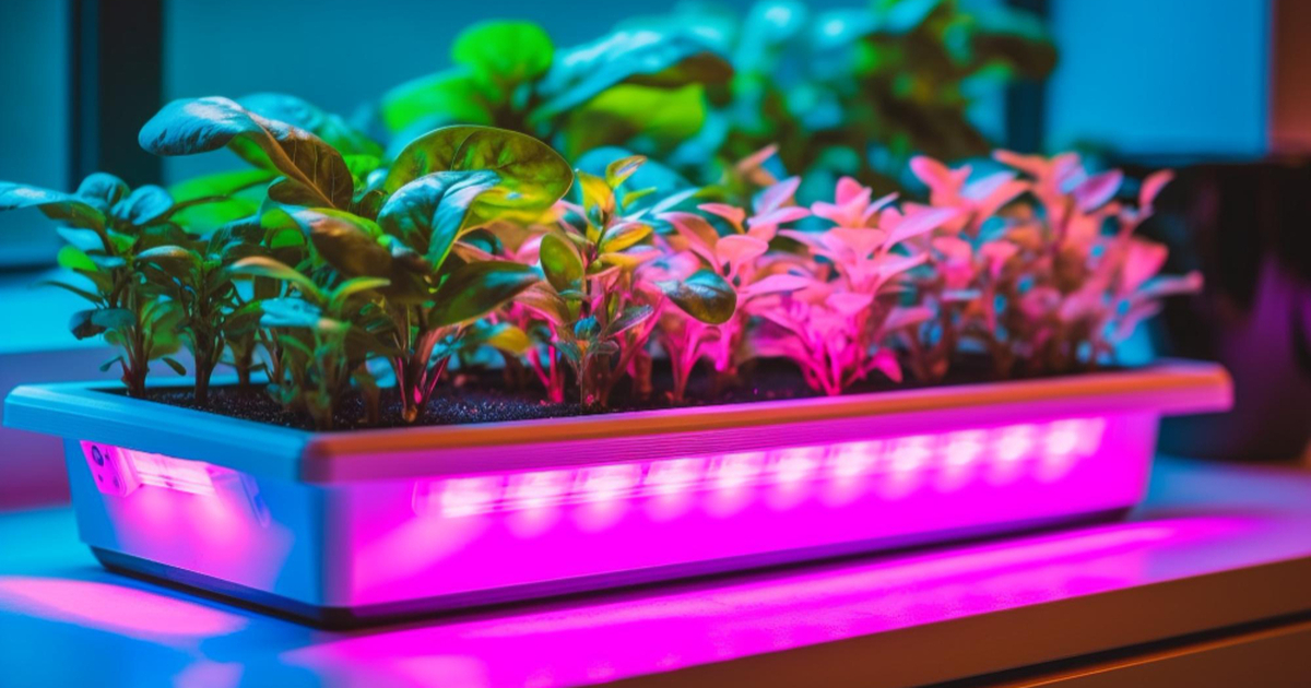 Янтарная кислота и «Фитоспорин»: как получить к...