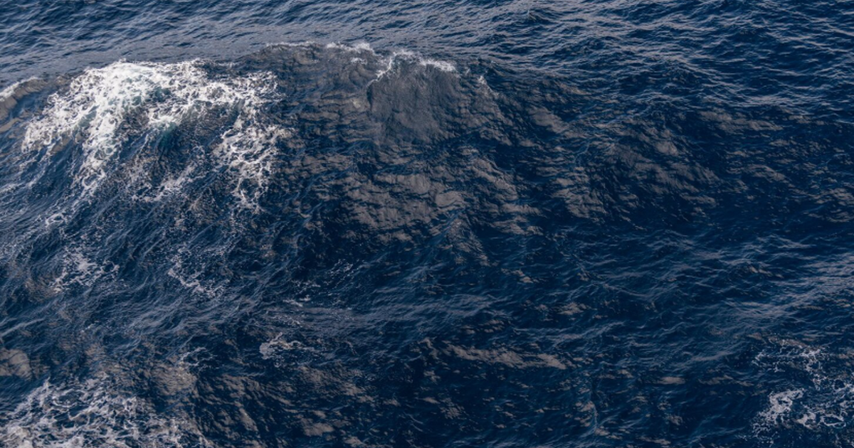 Российские ученые нашли способ эффективно очистить океан от антибиотиков Российская инновационная технология, сочетающая...