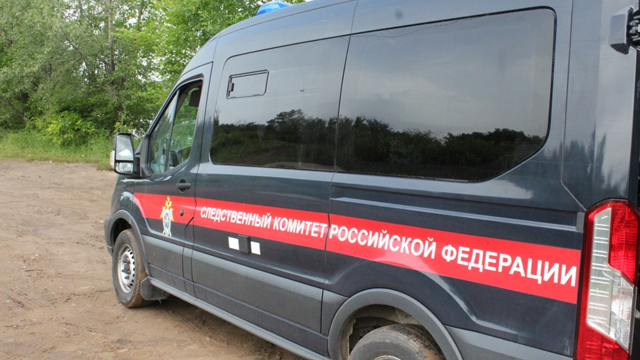 В Тольятти следователи возбудили дело по факту попытки похищения человека Уголовное дело возбуждено на основании информац...