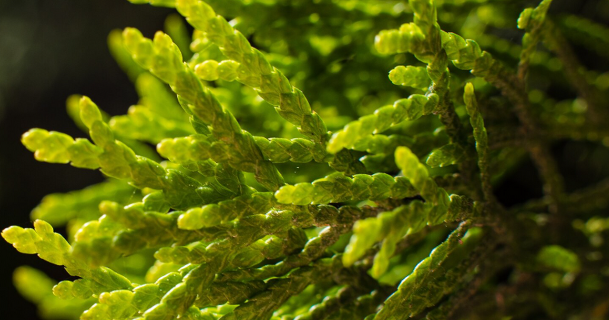 У российских берегов в акватории Тихого океана ...