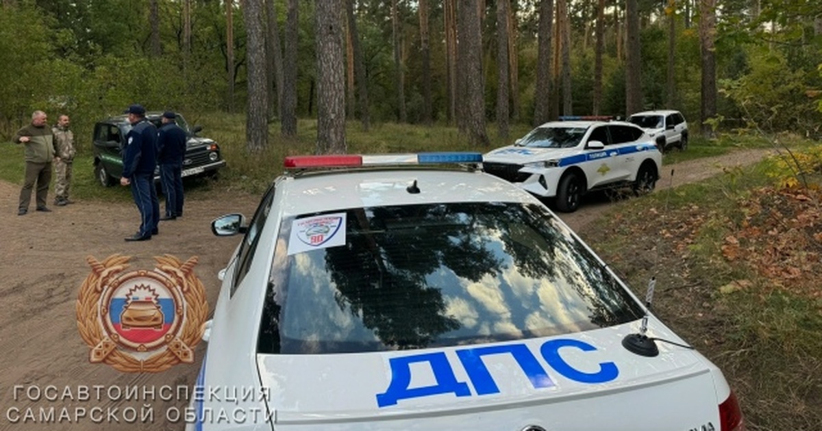 Рейды в городских лесах Тольятти продолжаются При выявлении нарушений виновных привлекают к у...