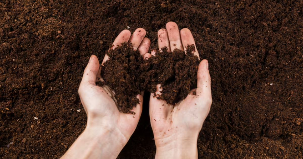 Нашли соединение в 100 раз сильнее известного антибиотика из почвенной бактерии Биологи из Уорикского университета, изучая древ...