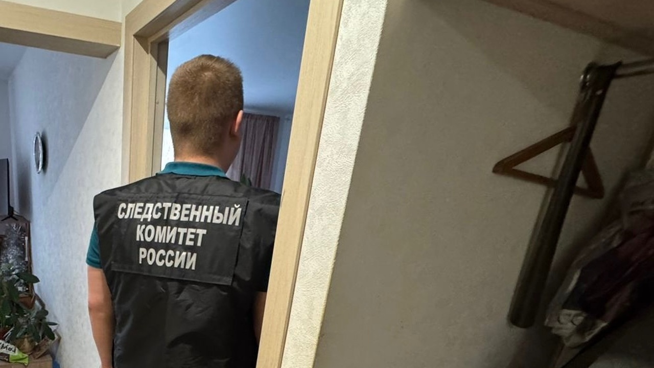 В Самаре арестовали местного жителя, которого подозревают в убийстве матери Как утверждают следователи, убийство было совер...