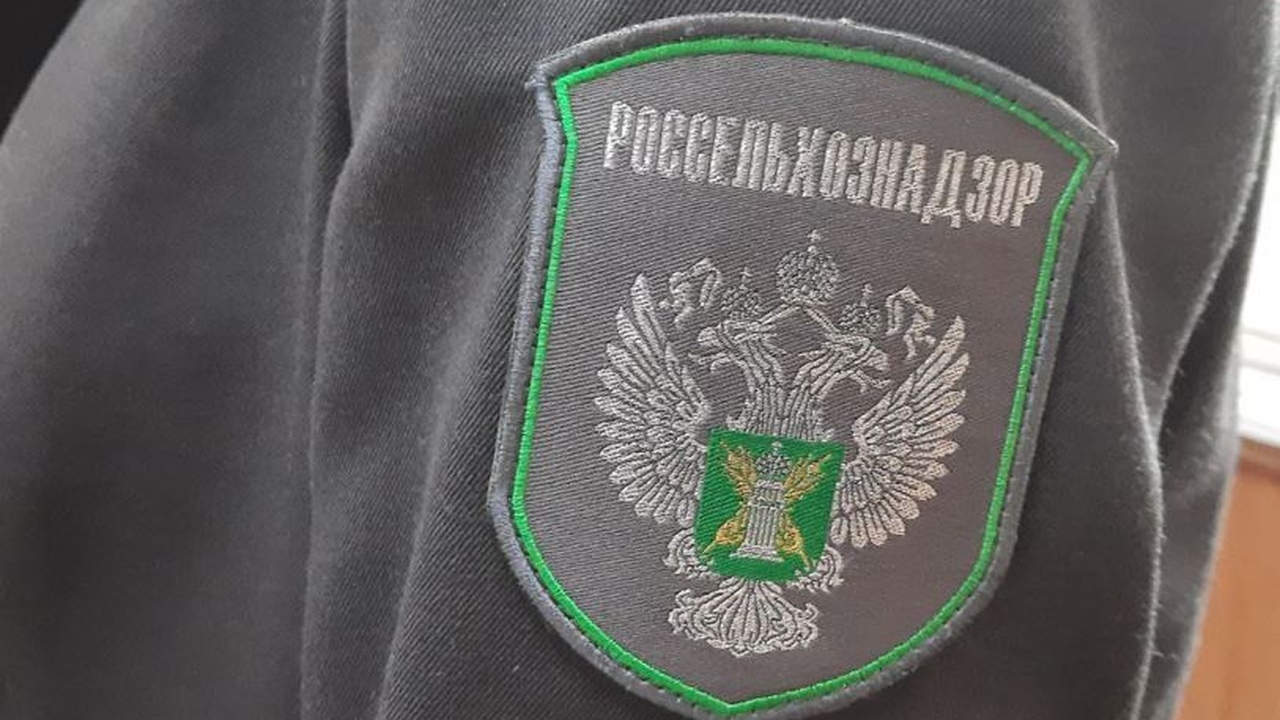 В Самаре Россельхознадзор оштрафовал "Самарскую индейку" за нарушение регламентов Выявленные нарушения могли отразиться на качест...