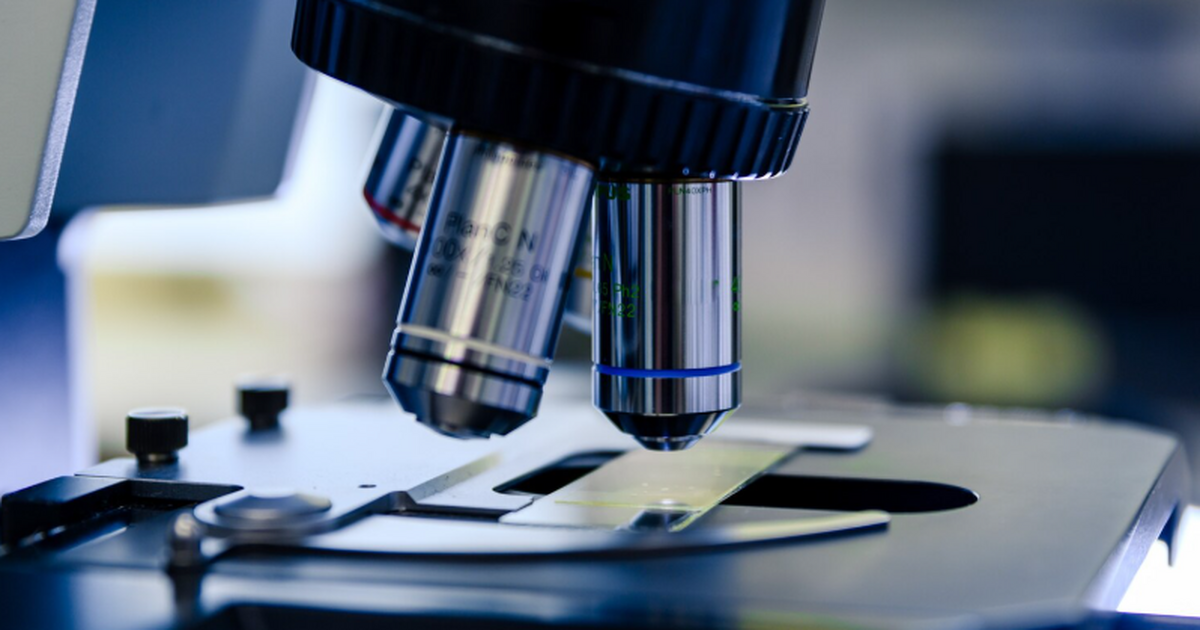 В БГМУ создали тест-систему для определения Akk...