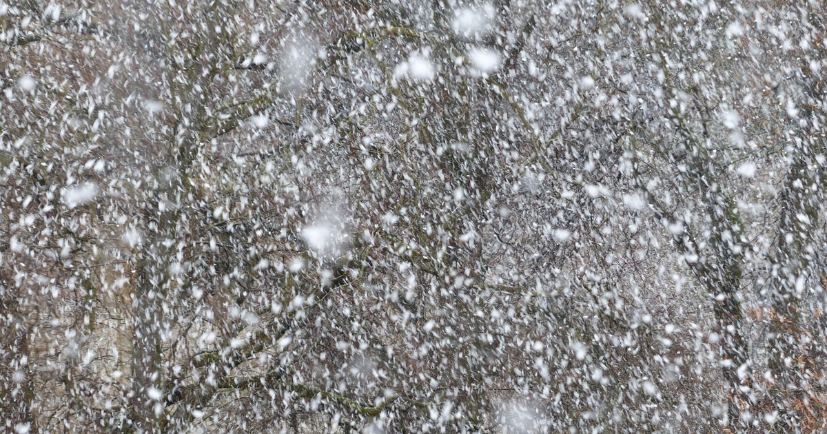 ГУ МЧС предупредило о неблагоприятных погодных ...