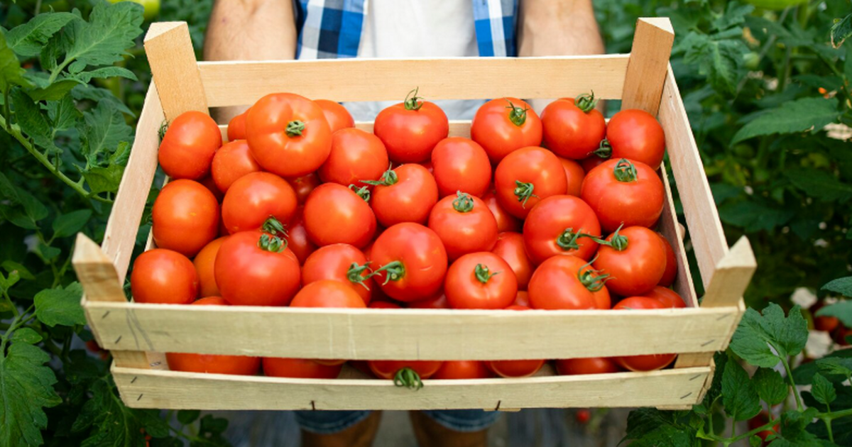 Российские учёные разработали технологию ускоре...