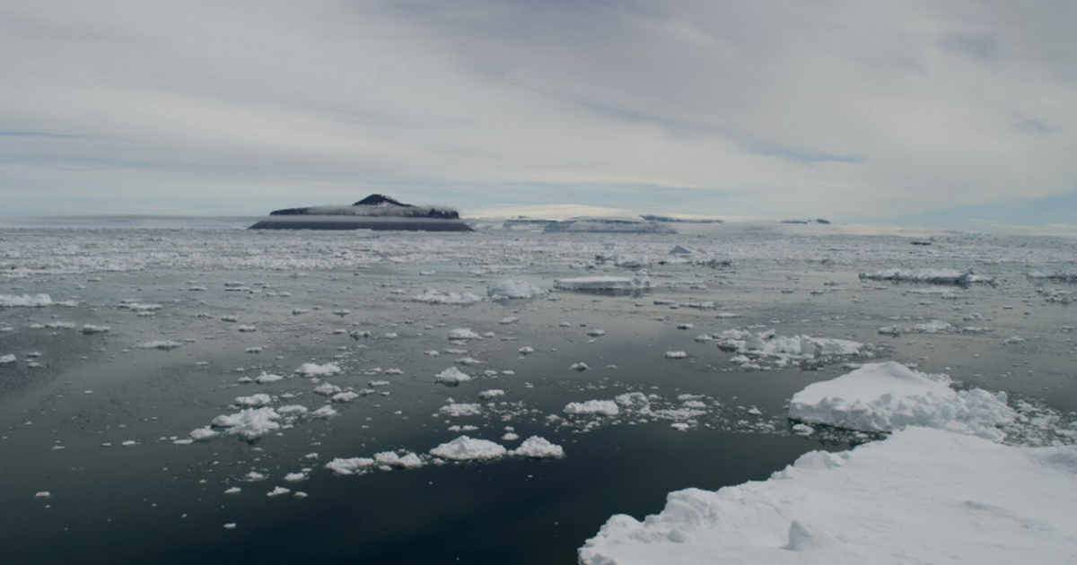Экспедиция на ледоколе Polarstern обнаружила но...