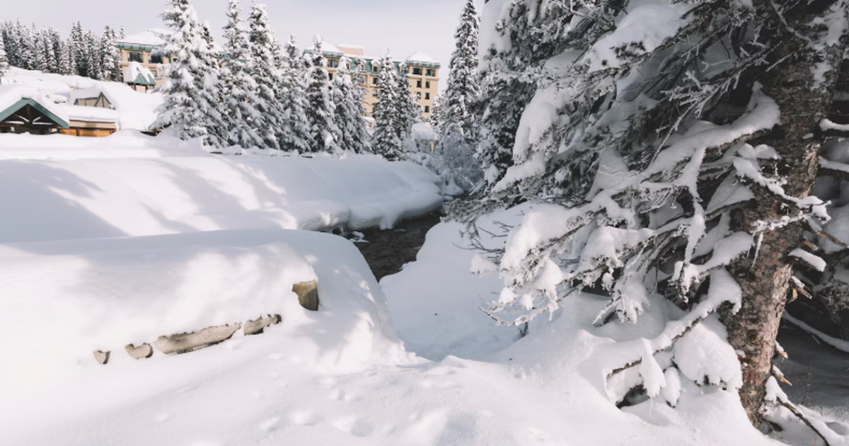 Арабские туристы выбирают Россию ради «настояще...