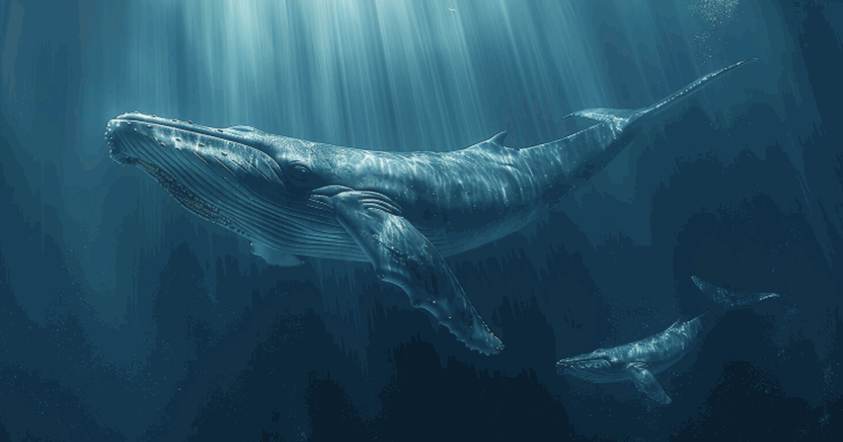 Исследование Университета Аделаиды показало, чт...