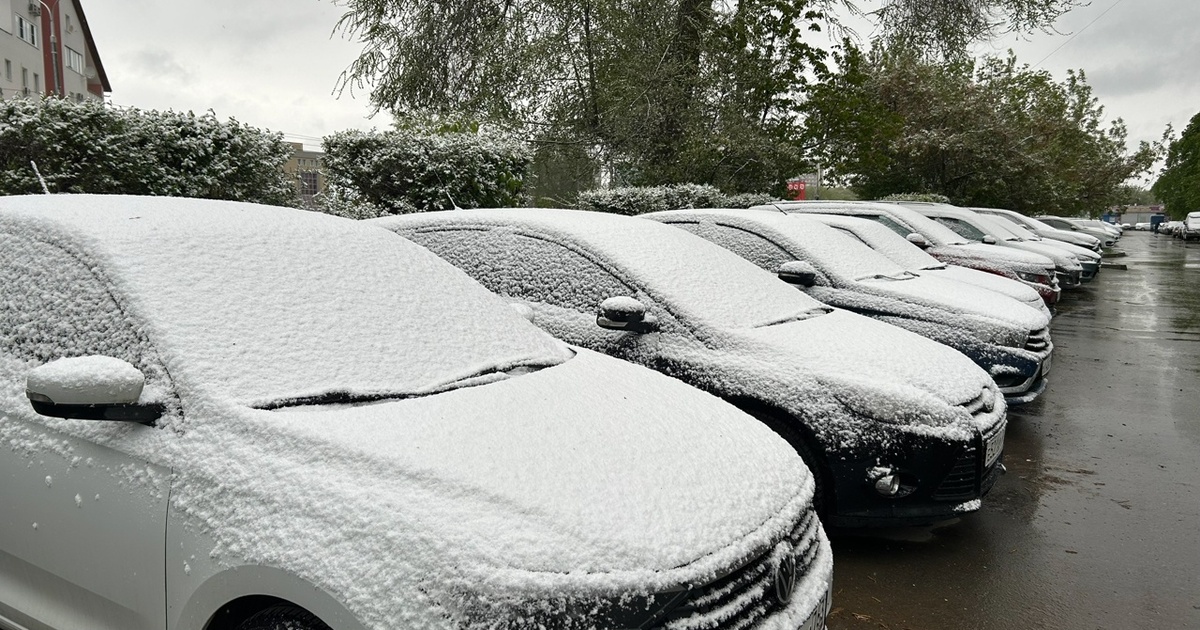 Такой рост зафиксировали профессиональные продавцы