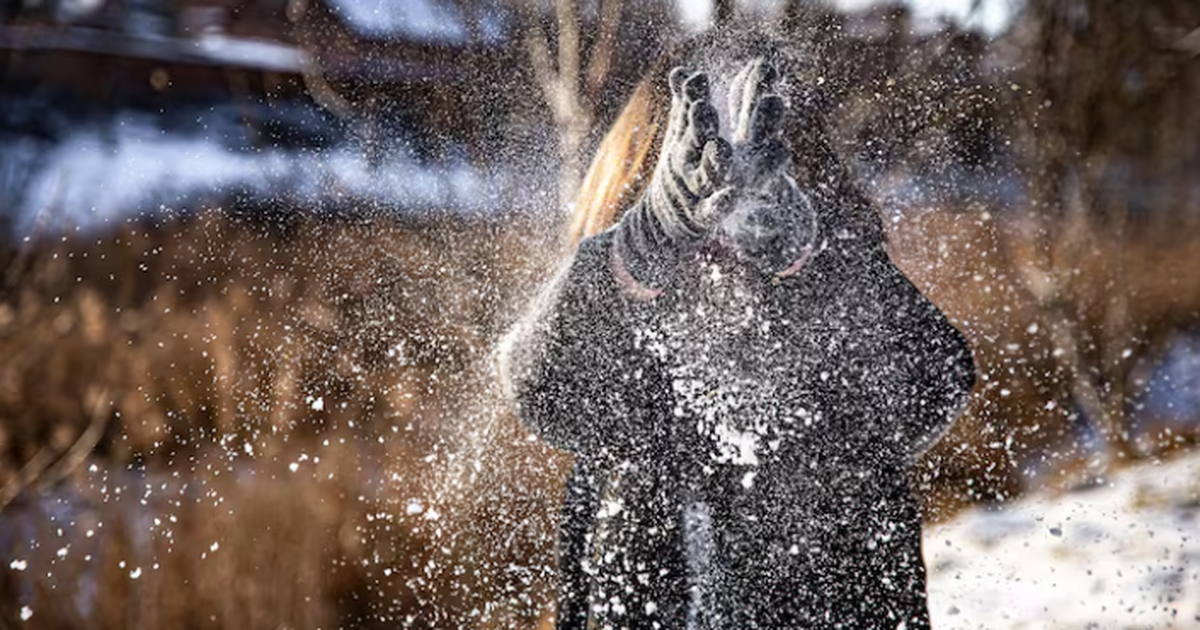 В Самаре похолодает и потеплеет: Синоптики рассказали, чего ждать от погоды на этой неделе Погода в Самарской области резко меняется: от м...