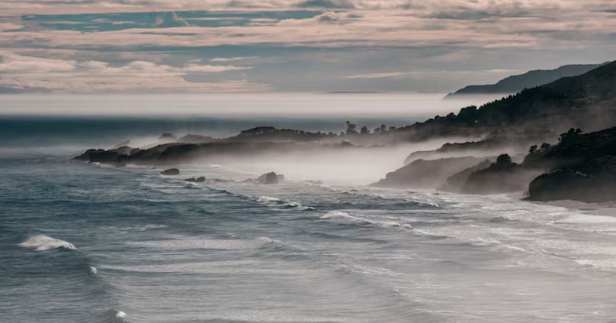 Потенциально токсичную микроводоросль рода Cool...