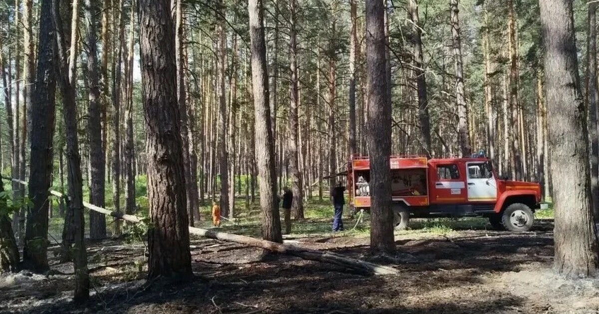 В Самарской области за неделю произошло два лесных пожара Возгорания зафиксированы в Бузулукском бору и С...