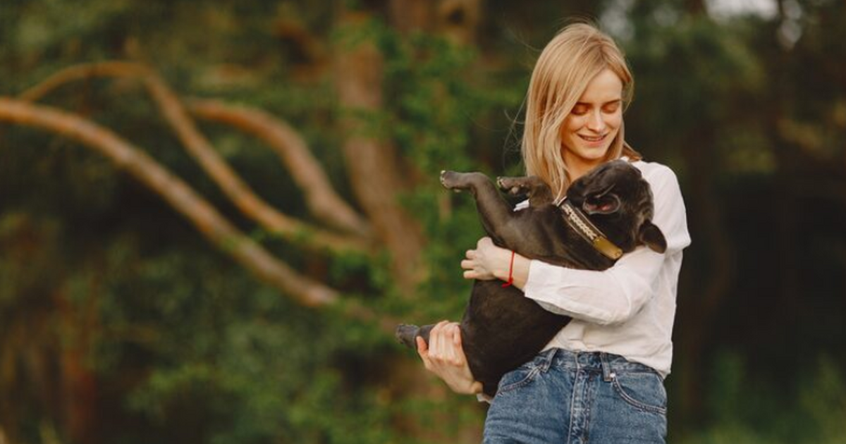 Исследование Королевского ветеринарного колледж...