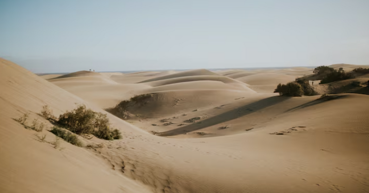 В западной части пустыни Нефуд в Саудовской Ара...