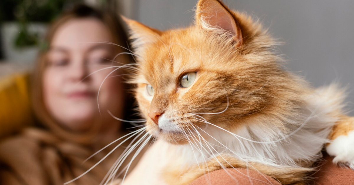 Группа исследователей установила, что одомашнив...