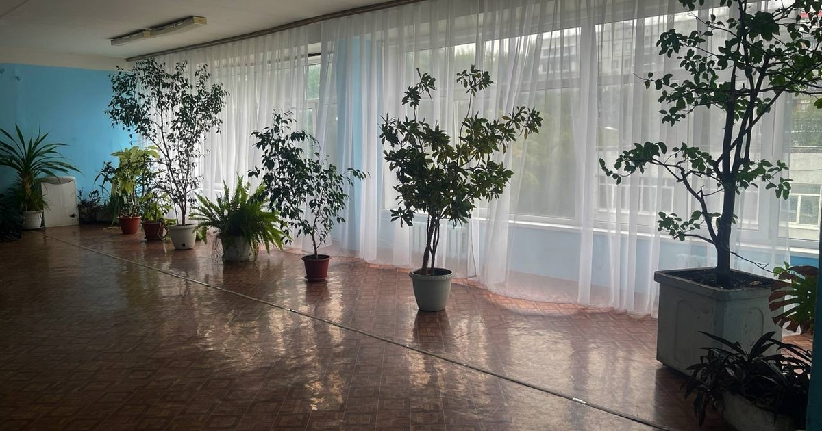 Алгоритм разработан Министерством просвещения