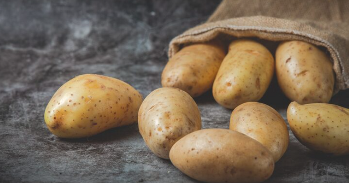 Учёные РАН: дроны повысили урожайность картофеля на 9% и сохранили почву Ученые разработали комплекс для обработки сельх...